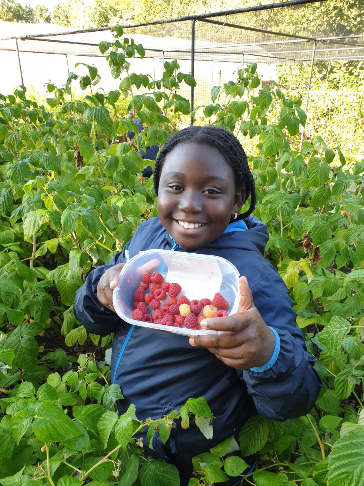 Girl with raspberries.JPG